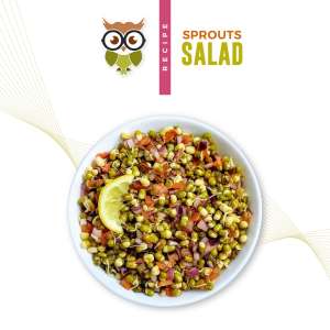 Sprouts Salad