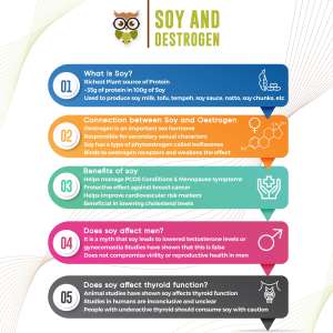 soy and oestrogen