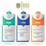 Rice Facts, origin, types and myths